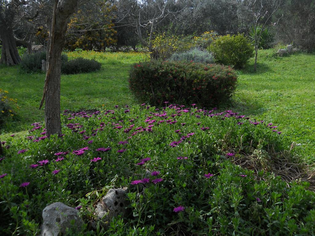 فيلا Trulli La Gufa أوستوني المظهر الخارجي الصورة