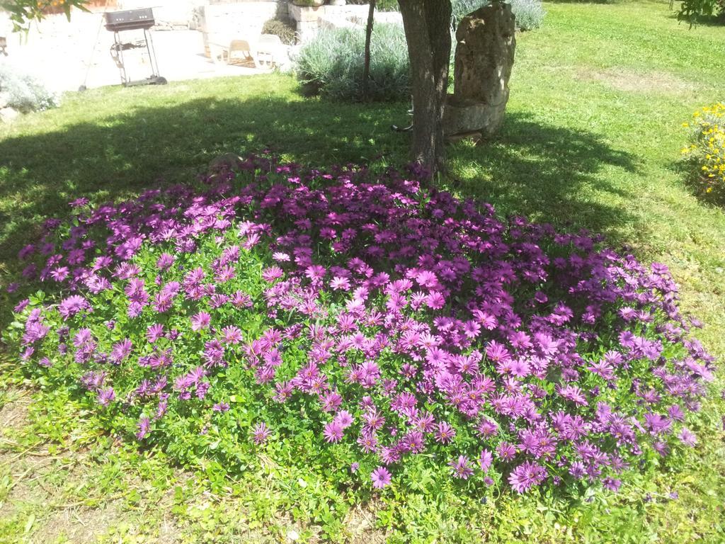 فيلا Trulli La Gufa أوستوني المظهر الخارجي الصورة
